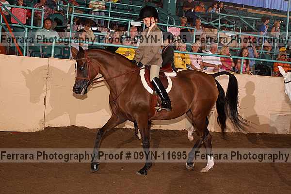 Proof 09yn-11695