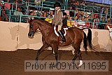 09yn-11695 proof