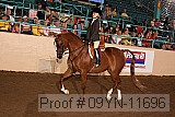 09yn-11696 proof