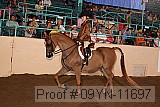 09yn-11697 proof
