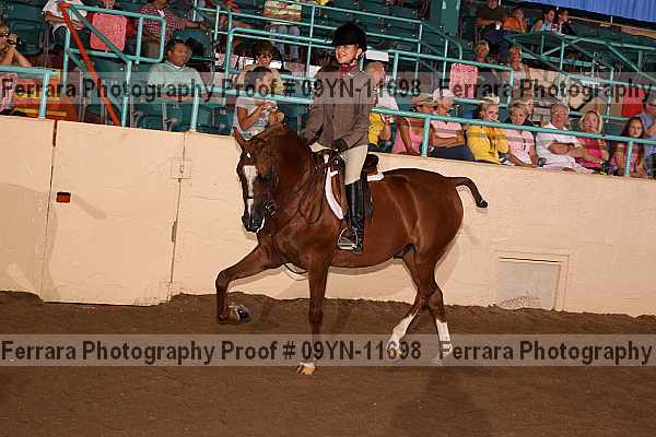 Proof 09yn-11698