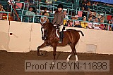 09yn-11698 proof