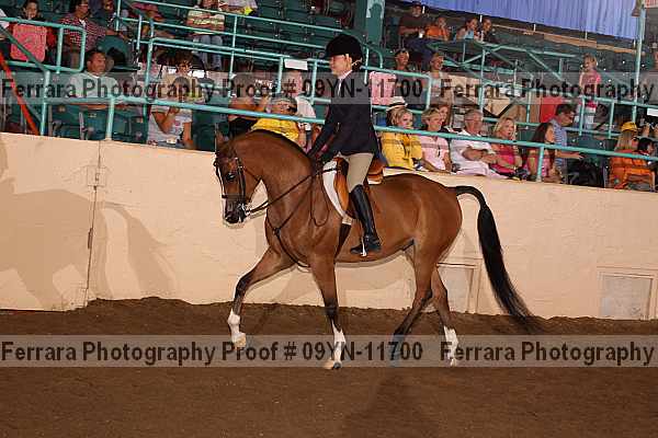 Proof 09yn-11700