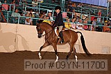 09yn-11700 proof