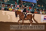 09yn-11701 proof