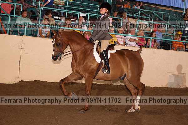 Proof 09yn-11702