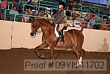 09yn-11702 proof