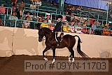 09yn-11703 proof
