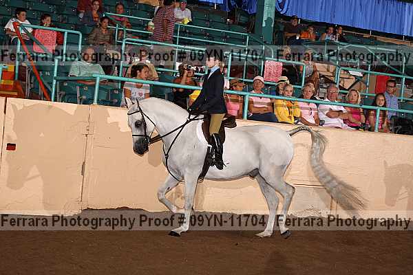 Proof 09yn-11704
