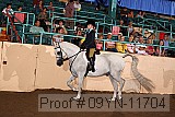 09yn-11704 proof