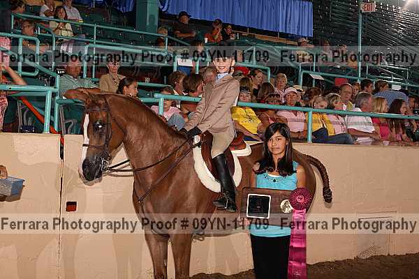 Proof 09yn-11709
