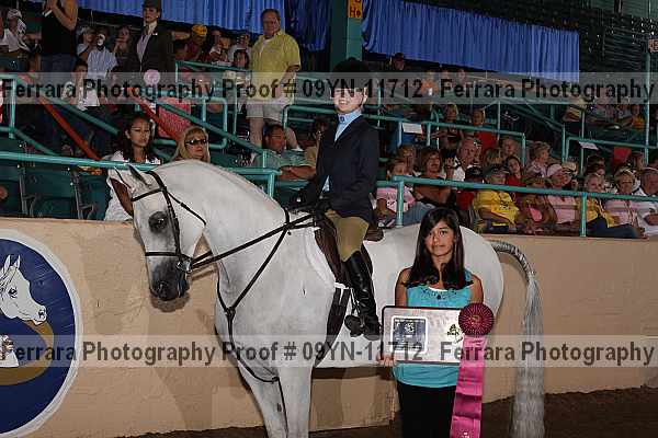 Proof 09yn-11712