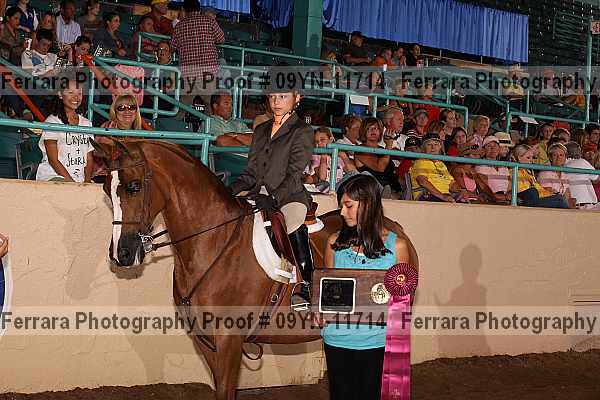 Proof 09yn-11714