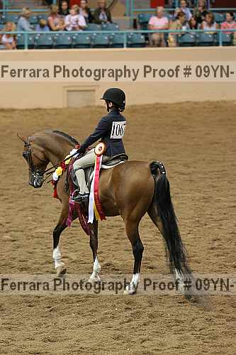 Proof 09yn-11737
