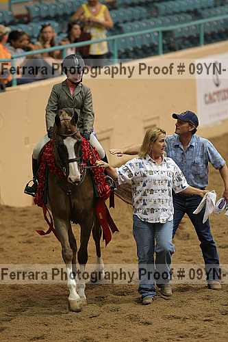 Proof 09yn-11743