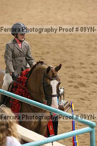 Proof 09yn-11755