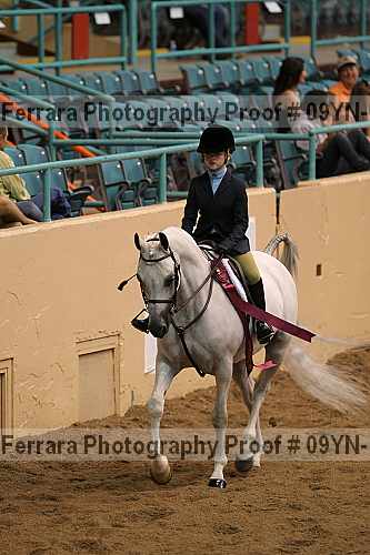 Proof 09yn-11769