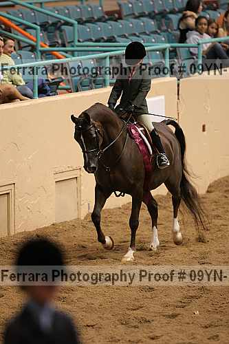 Proof 09yn-11771