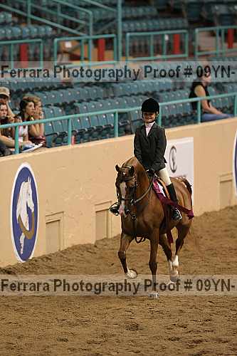 Proof 09yn-11774