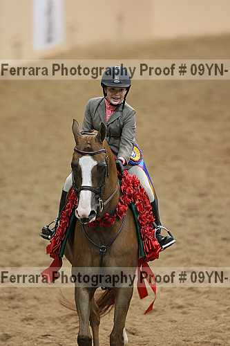 Proof 09yn-11796