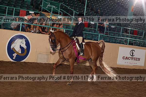 Proof 09yn-11799
