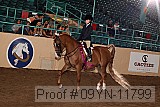 09yn-11799 proof