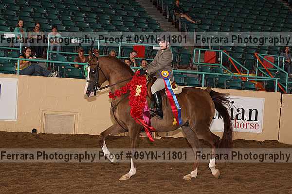 Proof 09yn-11801