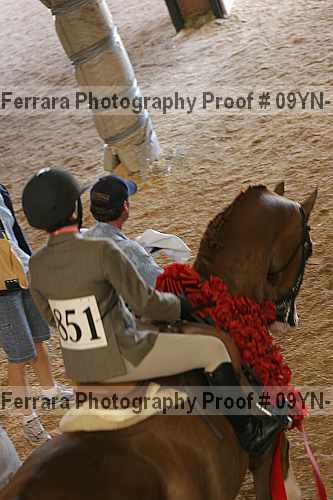Proof 09yn-11804
