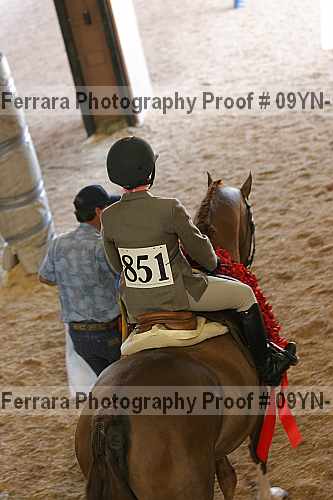Proof 09yn-11806
