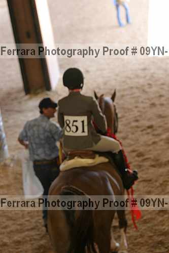 Proof 09yn-11807