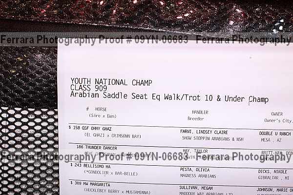 Proof 09yn-06683