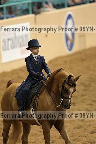 Proof 09yn-06691