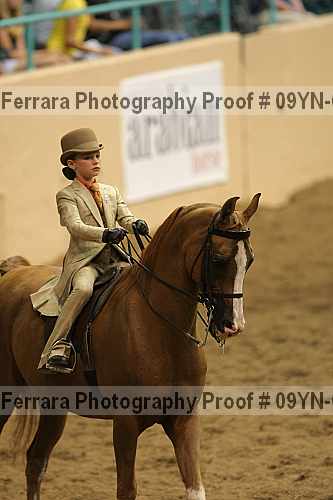 Proof 09yn-06693