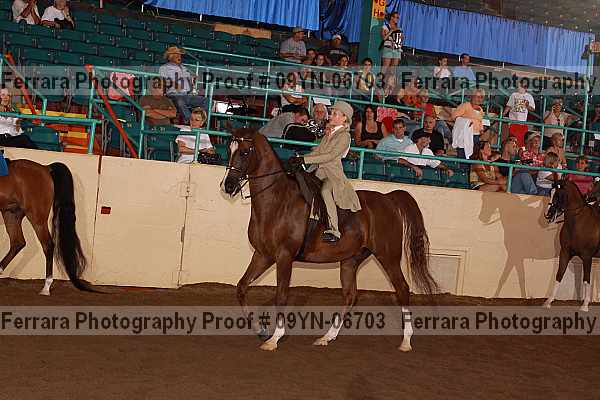 Proof 09yn-06703