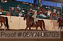 09yn-06703 proof