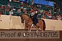 09yn-06705 proof