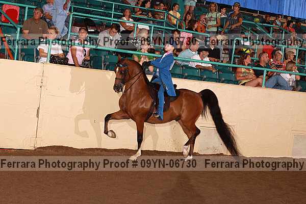 Proof 09yn-06730