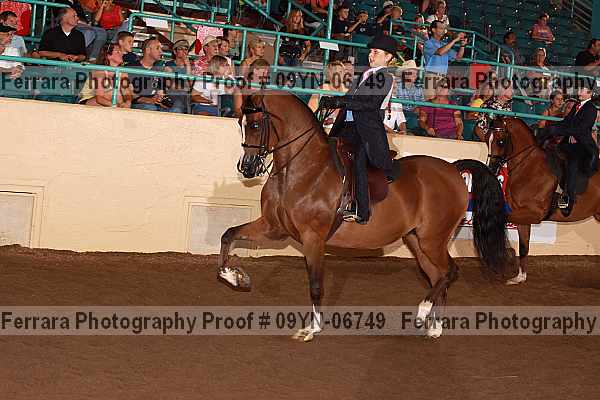 Proof 09yn-06749