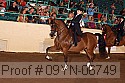 09yn-06749 proof