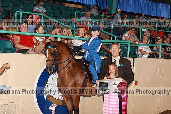 Proof 09yn-06753