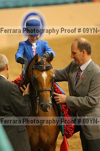 Proof 09yn-06779