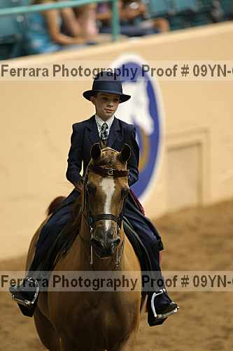 Proof 09yn-06799
