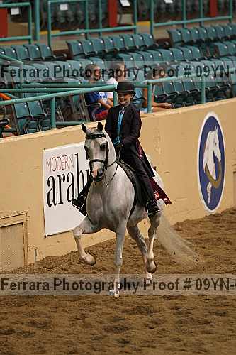 Proof 09yn-06802