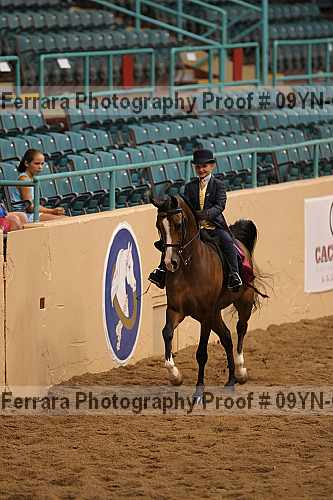 Proof 09yn-06808