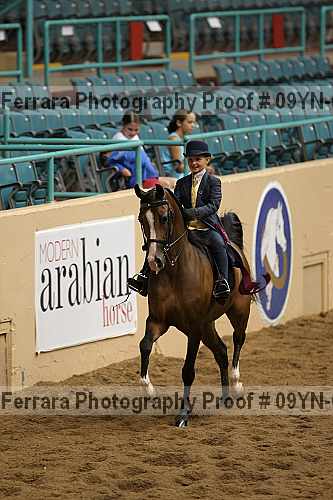 Proof 09yn-06809