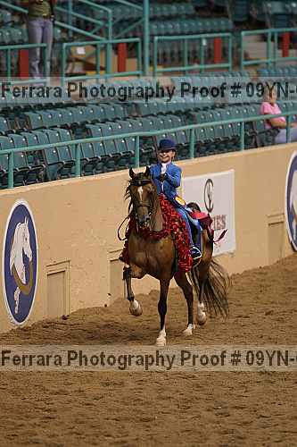 Proof 09yn-06825
