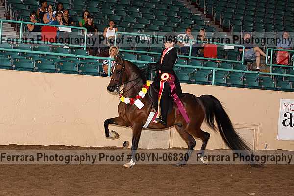Proof 09yn-06830