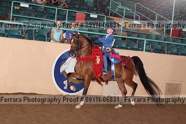 Proof 09yn-06831