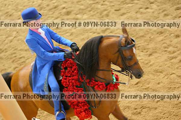 Proof 09yn-06833