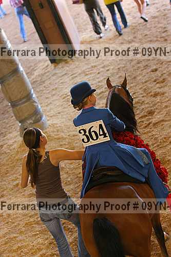 Proof 09yn-06838